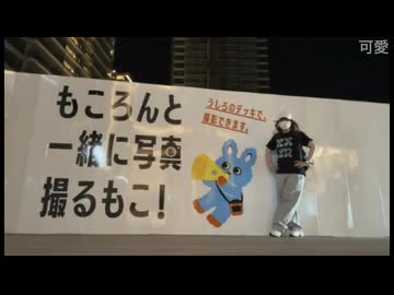 かわしまVlog  海老名サービスエリア編