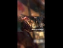 『トウキョウト・ロック・シティ』歌ってみた - らっと 2