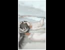 One Last Kissを歌わせていただきました