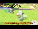 ぽこあポケモン　ぬののカベの材料・見た目は？　ブロックの種類紹介　＃１２１１　【ぽこポケ】