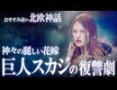 【北欧神話】神への復讐劇！巨人の娘スカジの敵討ちの物語