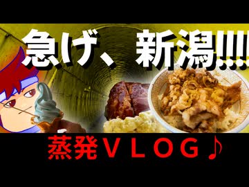 【新潟急行VLOG】「あの事件現場」を電撃訪問！？一心不乱に海沿いを駆け抜ける旅の一日ッッ！！！！編。【バーチャルいいゲーマー】