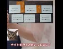 猫と遊ぶ「たった今考えたプロポーズの言葉を君に捧ぐよ」③