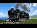 【RAILWAY ~ ここにある夢 ~】夏草の線路(Cover)