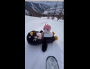ケツデカピングー