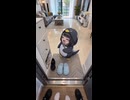 ケツデカピングー