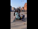 ケツデカピングー
