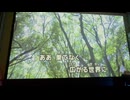 カラオケ「What a feeling」麻倉未稀