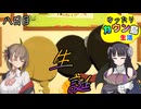 ゆったりカウン島生活　八日目