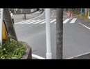 【だぁナス君が 東京都西多摩でニホンカモシカに遭遇】 だぁナス 「これ何？これ何？イノシシ？鹿？ハイエナ？」