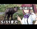 【投稿祭宣伝】5月31日まで【#自己紹介祭】を開催中です