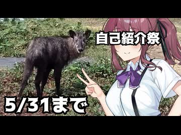【投稿祭宣伝】5月31日まで【#自己紹介祭】を開催中です
