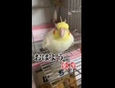 伝説のヒーロー爆誕！？朝一番の「おはよう、はち！」