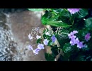 【Rana】雨のち花【VOCALOID Original Song】