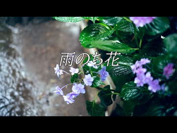 【Rana】雨のち花【VOCALOID Original Song】