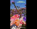【お写んぽ！！】びわ湖大津館イングリッシュガーデンの薔薇！