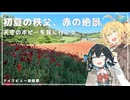 【第3回ナイスビュー投稿祭】初夏の秩父、赤の絶景 天空のポピーを見に行こう