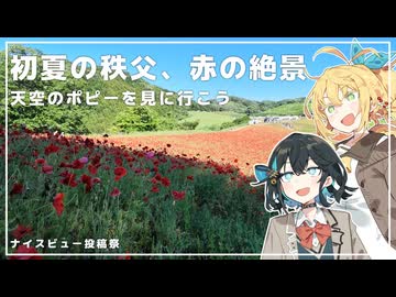 【第3回ナイスビュー投稿祭】初夏の秩父、赤の絶景 天空のポピーを見に行こう