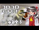 【コロコロ水餃子】をこしゃりました