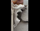 暑いね