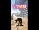 ウマ娘勢と競馬民の違い レースで考えること編