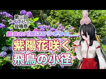 【第3回ナイスビュー投稿祭】紫陽花咲く飛鳥の小径【中国うさぎ】