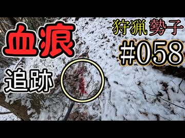 狩猟勢子動画＃058　血痕追跡