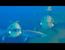 （ゆっくり音声）サブノーティカ２　その12 発電所の起動