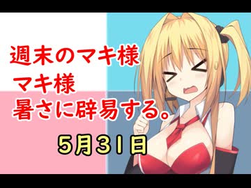 3分間　サザエタイムに、暑さの思い出を語る弦巻のマキさん様　５月31日