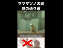 【ゾナウ禁止祠攻略】マヤマツノの祠(球の通り道)【ティアキン/制限プレイ/ゼルダの伝説ティアーズオブザキングダム】