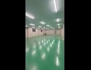 すげー遠くにしゃちほこいんだけどwww