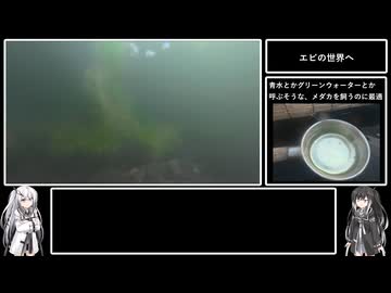 アリミリ姉妹の淡路島海釣り日記Part.42