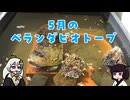 5月のベランダビオトープ