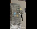 どうした？急にそこ？