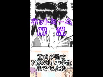 ゆかつむネットミーム解説【童貞が許されるのは小学生までだよねー】