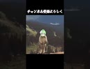 アフレコ「絶叫するビーバー」 #草神ハーブ #shorts #秋V大投稿祭