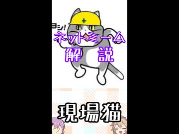 ゆかつむネットミーム解説【現場猫】