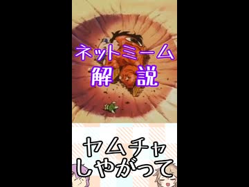 ゆかつむネットミーム解説【ヤムチャしやがって】