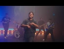 Wolf & Bear - Whiplash (Official Music Video)