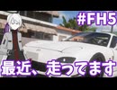 【FH5】皆が日本で爆走してる中、私はメキシコにいる【ゆっくり実況】