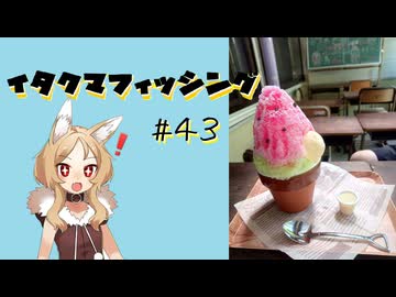 イタクマフィッシング＃43　復活の投げリール！台風来る前に釣っとかないとね