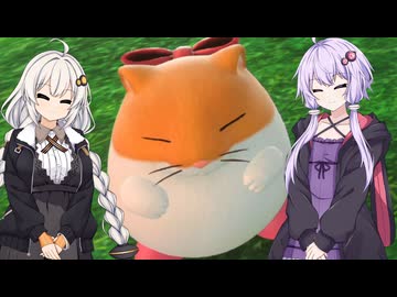 【カービィのエアライダー】ゆづきずエアライダー #39