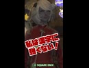 【切り抜き】 FF14難読文字クイズとか作ってるけど、私は漢字に強くないの！ 【#ゴールドソーサー・フェスティバル2026 】【 #FF14 】【#shorts 】