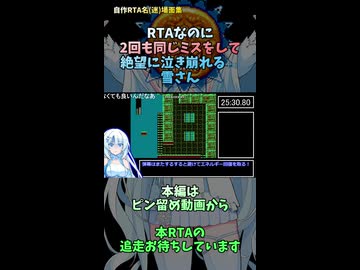自作RTA名(迷)場面集　RTAなのに2回も同じミスをして絶望に泣き崩れる（？）雪さん