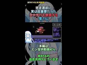 自作RTA名(迷)場面集　完走直前に実は超重要だった空中歩行を披露する雪さん
