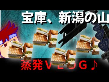 【新潟の山VLOG】山の中の道路構造物にウットリ！？道の名所にウッカリ大遭遇！！！！編。【バーチャルいいゲーマー】