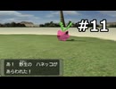 【初見】ポケモンXD 闇の旋風ダークルギア　プレイ日記【part11】
