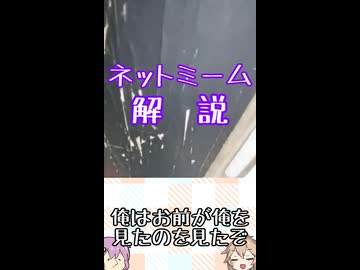 ゆかつむネットミーム解説【俺はお前が俺を見たのを見たぞ】