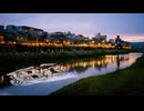 おお 鴨川【日記】