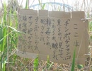 ここは - 2号. 重音テトcover【UST配布】